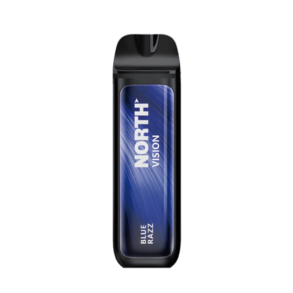 North 15000 Puffs Vision