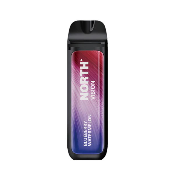 North 15000 Puffs Vision