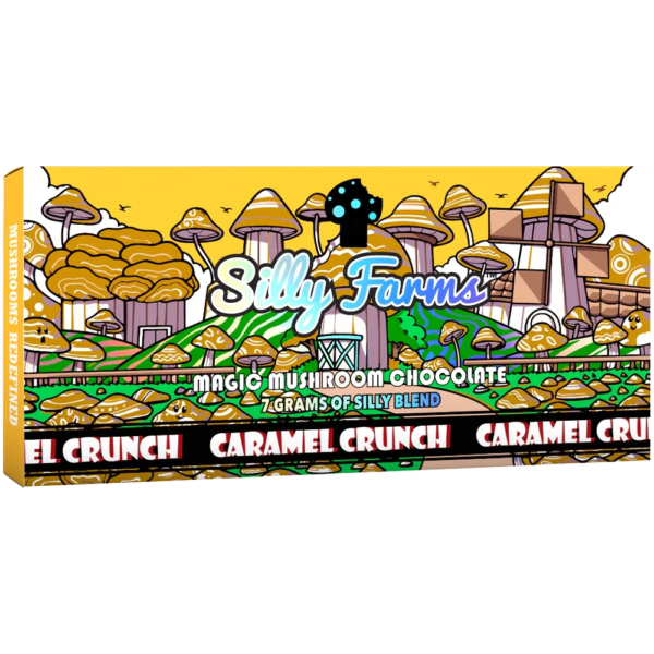Silly Farms Magic Mushroom Chocolate 7g