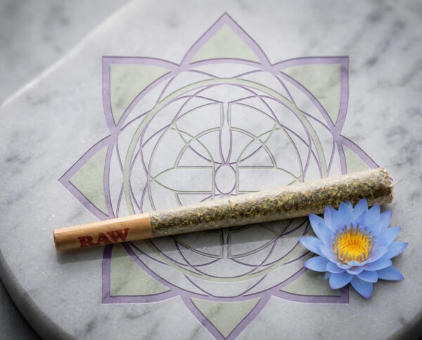 Exotics House Pre-Roll 1.5g blue lotus blend in a RAW cone beside a blue lotus flower on the Exotics emblem