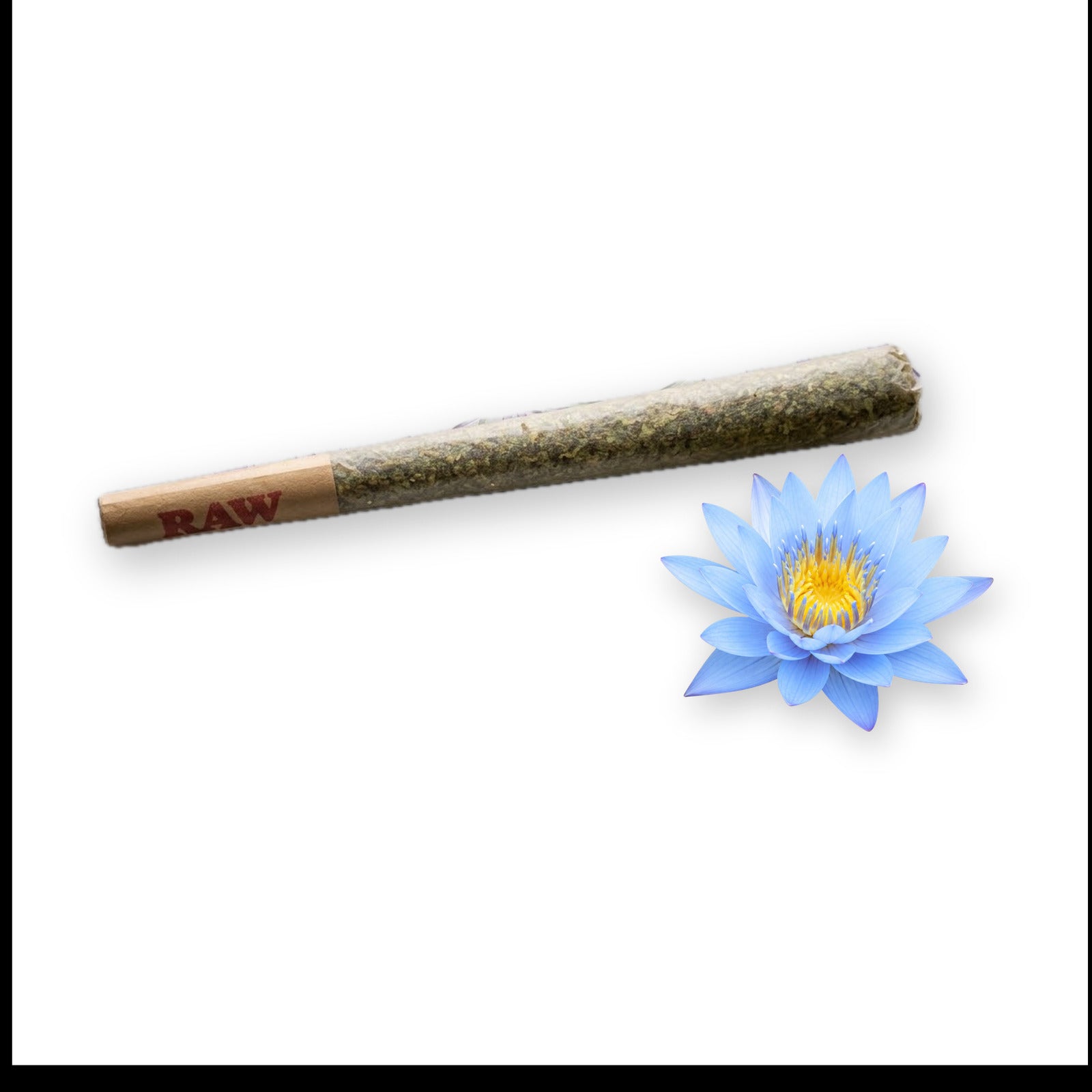 Exotics House Pre-Roll 1.5g blue lotus blend RAW cone with a blue lotus flower on white