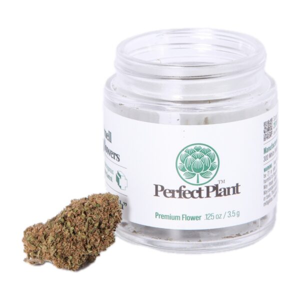 Perfect Plant Premium CBD Flower 3.5 g jar