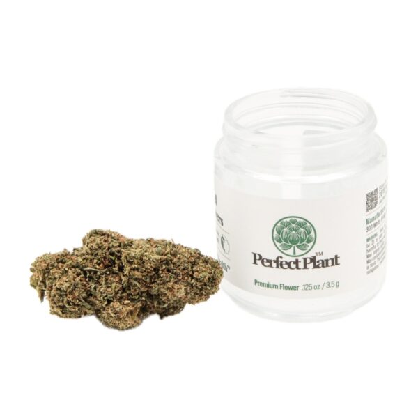 Perfect Plant Premium CBD Flower 3.5 g jar — view 3